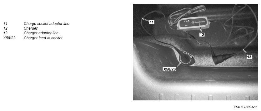 G11128061