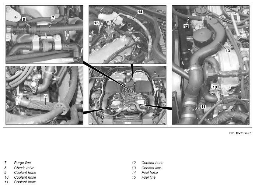 G11128116