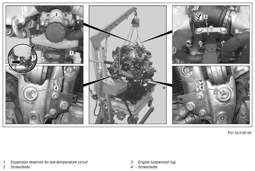 G11128130