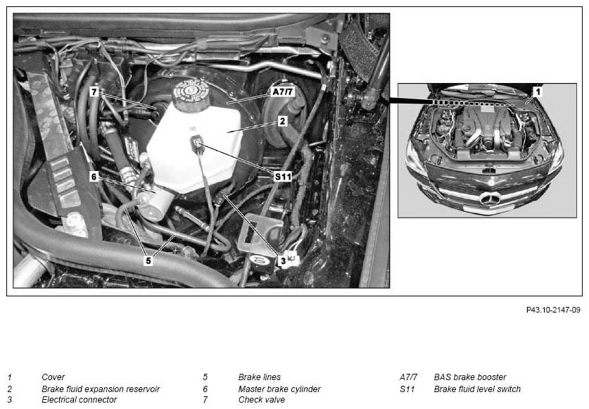 G11128892
