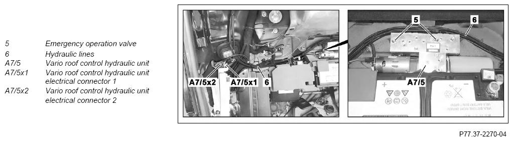 G11129206