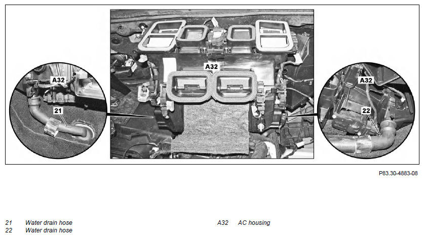 G11129389