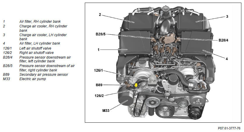 G11129586