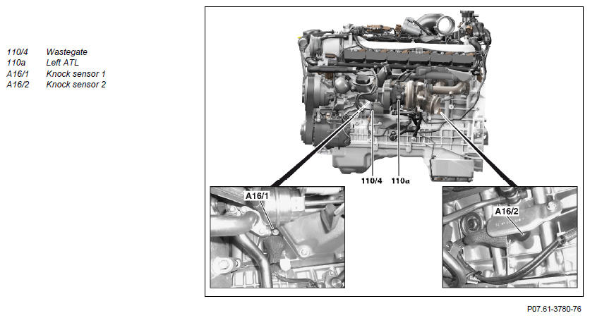 G11129589