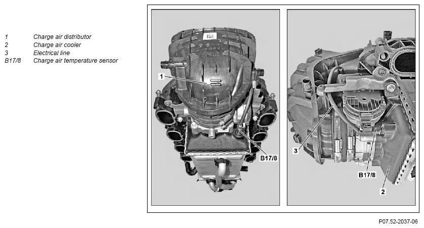 G11131995