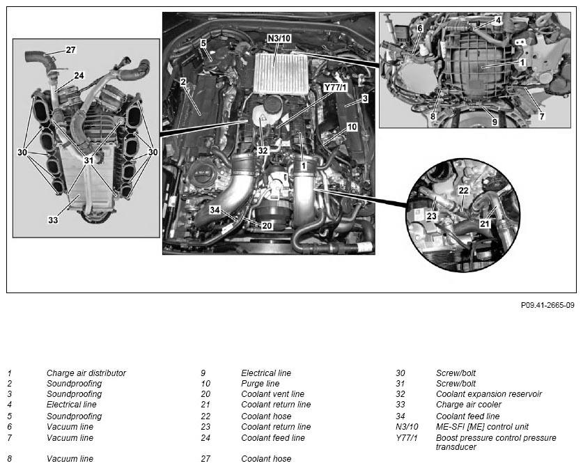 G11132034