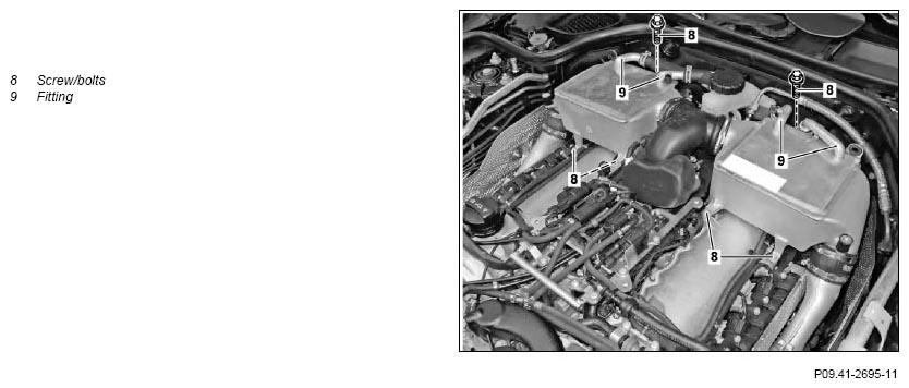 G11132036