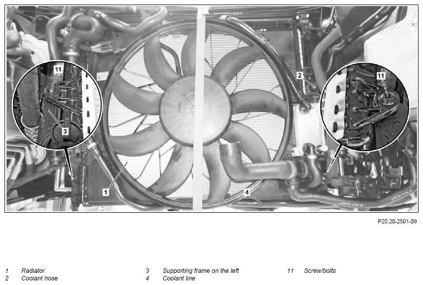 G11132165