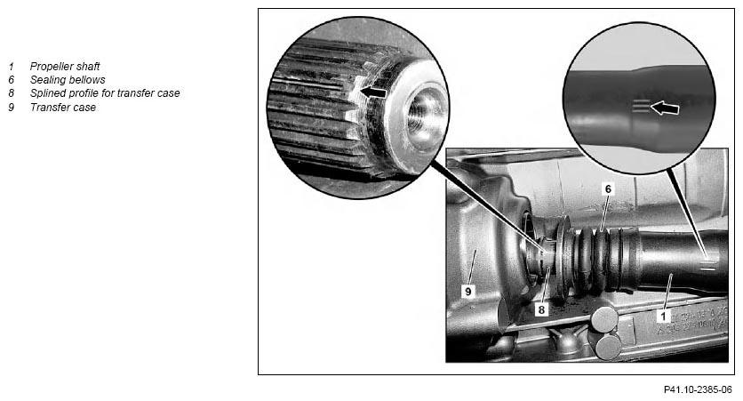 G11132515