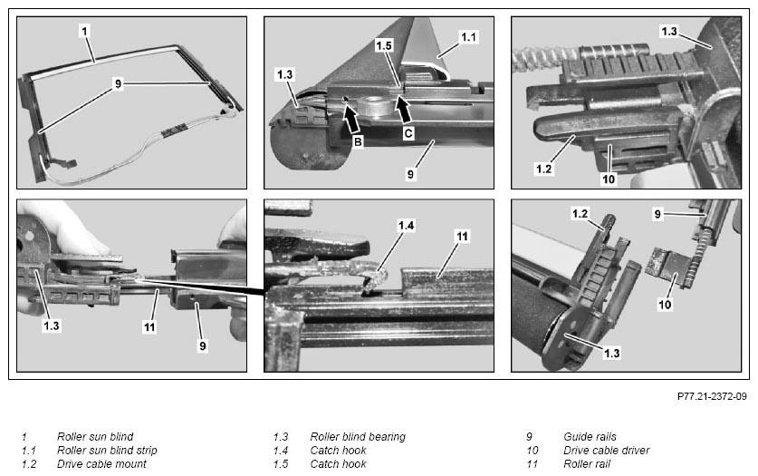 G11133034