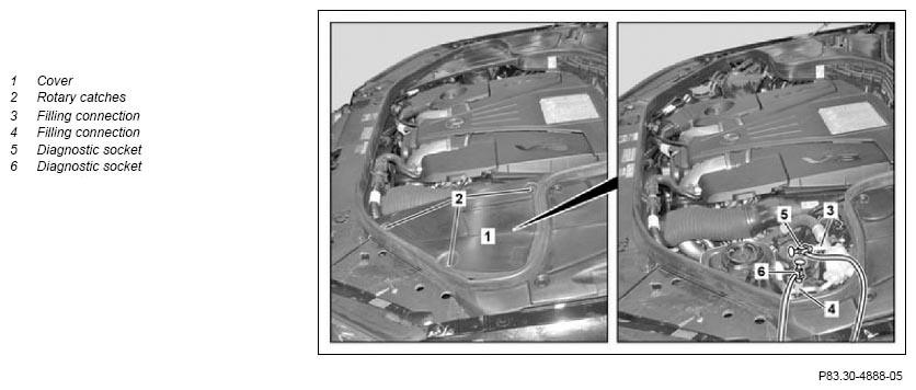 G11133149