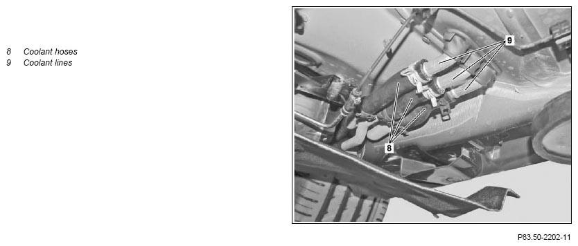 G11133184