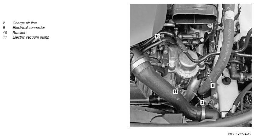 G11133198