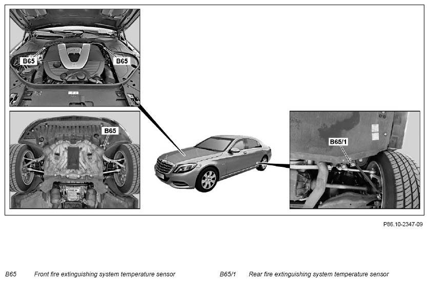 G11133225