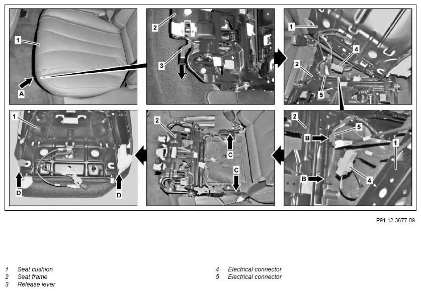 G11133312