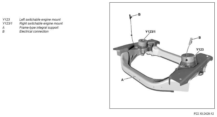 G11133482