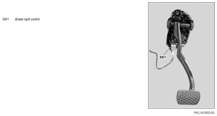 G11133486