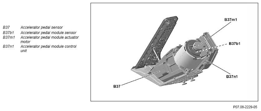 G11133487