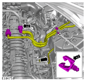 G11134035