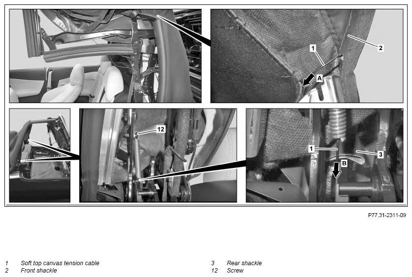 G11139381