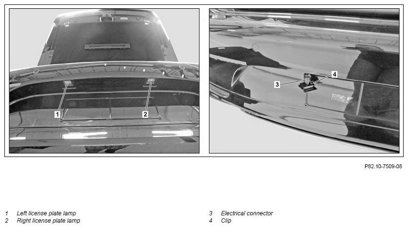 G11139455