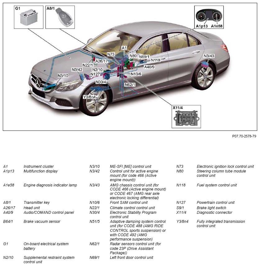 G11139565