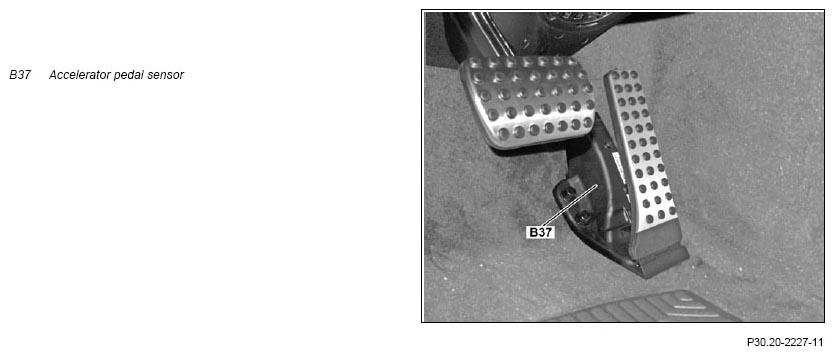 G11139581