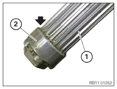 G11144393