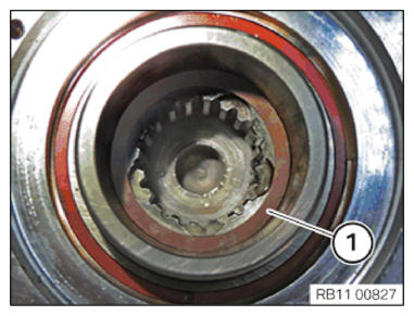 G11144394