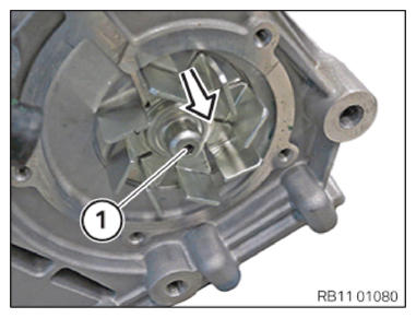 G11144537
