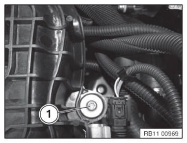 G11144549