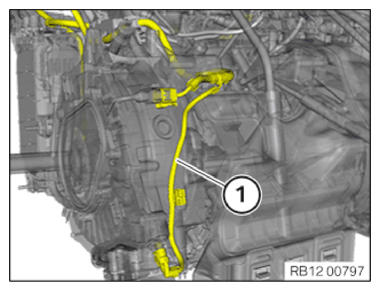 G11145024