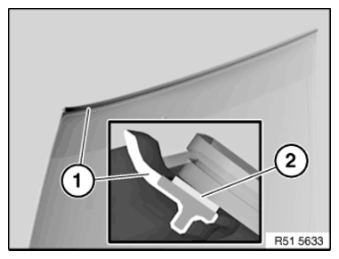G11147068