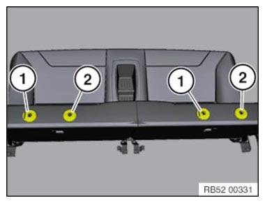 G11147456