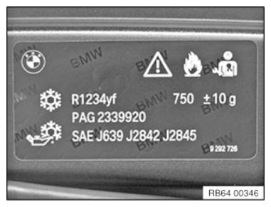 G11149154