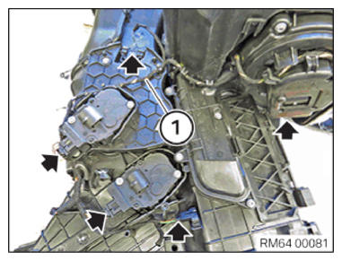 G11149208