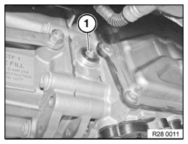 G11149733