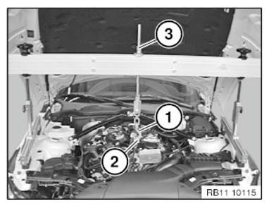 G11149794