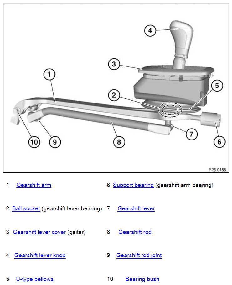 G11150753