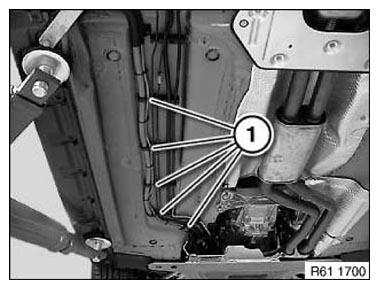 G11152982