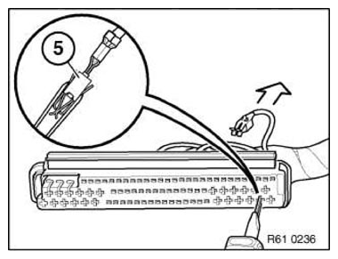 G11153042