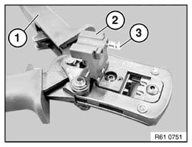 G11153048