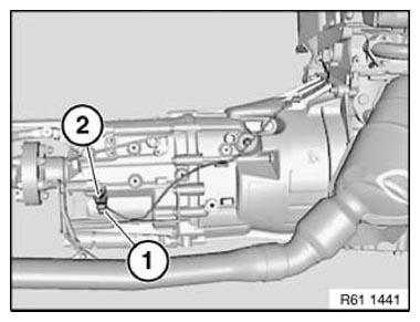 G11153265