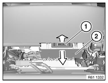 G11153286