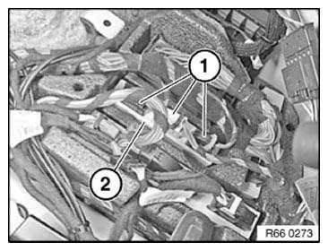 G11153623