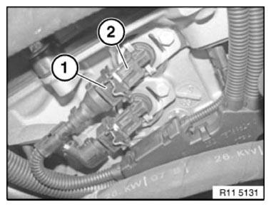 G11164566