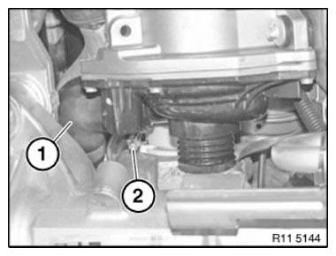G11164616
