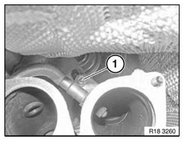 G11165079