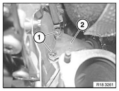 G11165080