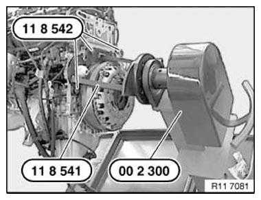 G11165234